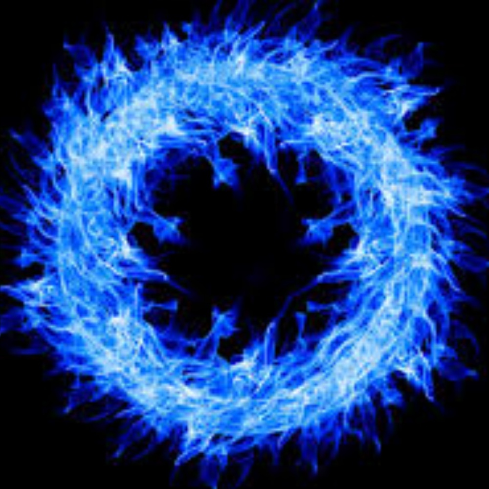 Meet your Posher, Shawn